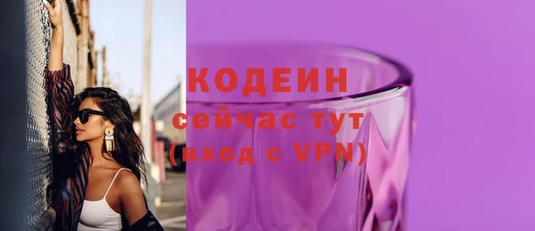 твердый Богданович