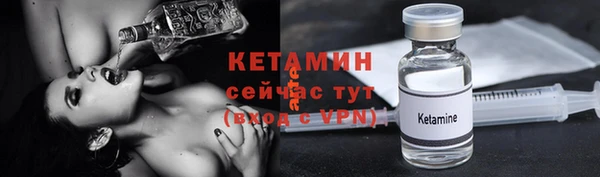 твердый Богданович