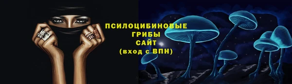 винт Богородицк