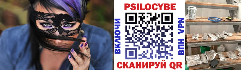 Псилоцибиновые грибы Psilocybe Боровск