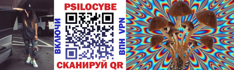 Псилоцибиновые грибы Psilocybe где купить наркотик Боровск